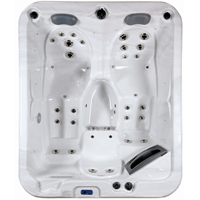3 persoons spa Cosy